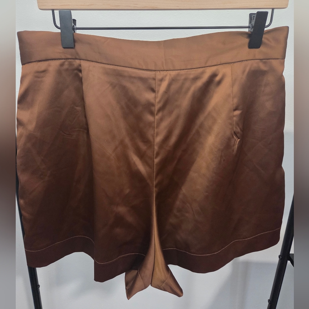Deluc Elegant Brown Women's Satin Feel Shorts. Size Large. EUC. - Picture 4 of 7